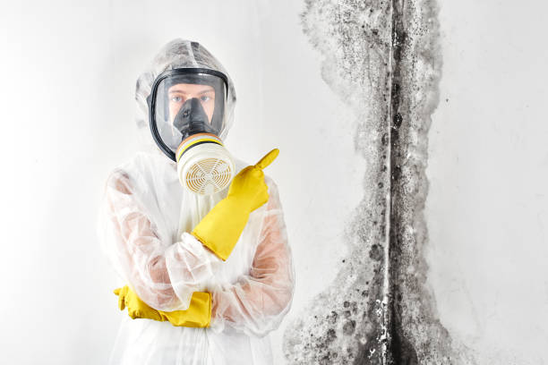 Best Industrial Mold Remediation  in Keizer, OR