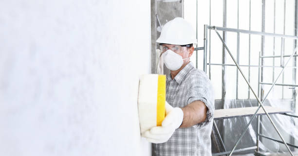 Mold Removal for HVAC Installations in Keizer, OR