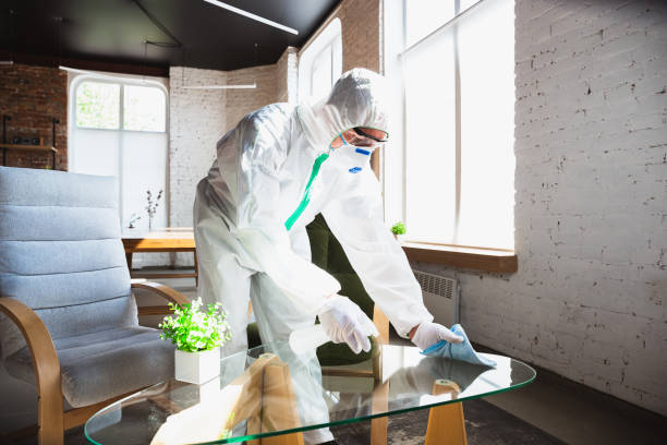 Environmental Consulting for Mold Prevention in Keizer, OR